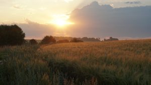 Жители Краснопахорского смогут приобрести земельные участки для ИЖС. Анатолий Цымбалюк, «Вечерняя Москва»