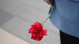 Представители ДК «Солнечный» проведут урок мужества. Фото: Анна Быкова, «Вечерняя Москва»