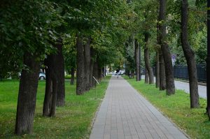 Проект «Безопасное лето» поможет предотвратить последствия непогоды в Москве. Фото: Анна Быкова, «Вечерняя Москва»