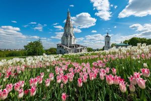Всего в рамках голосования было представлено девять маршрутов. Фото: сайт мэра Москвы