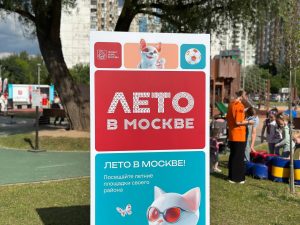Бесплатную тренировку по волейболу проведут в Краснопахорском. Фото: Яна Губина, «Вечерняя Москва»