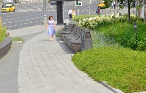 Подготовка к знойной погоде: городские службы переведены в режим повышенной готовности из-за жары. Фото: Анна Быкова, «Вечерняя Москва»