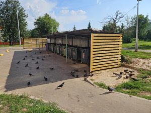 Модернизация площадки для ТБО стартовала в Краснопахорском районе. Фото предоставили сотрудники управы Краснопахорского района