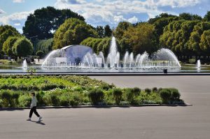 Приложение также предлагает функцию навигации: выбрав маршрут, можно следить за своим перемещением по карте, одновременно слушая пояснения гида. Фото: Анна Быкова, «Вечерняя Москва»