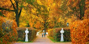 В сервисе Russpass собраны аудиоэкскурсии и подкасты, посвященные столичным достопримечательностям. Фото: сайт мэра Москвы