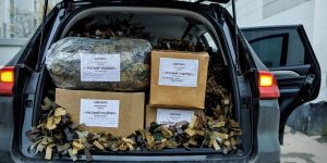 За время существования объединения команда направила более 106 тонн грузов. Фото: пресс-служба префектуры Западного административного округа города Москвы