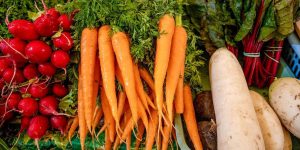 Осенью бойцам поступят овощи, такие как морковь, свекла и лук. Фото: пресс-служба Департамента торговли и услуг города Москвы