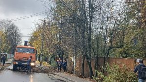 Деревья привели в порядок в селе Красная Пахра. Фото: архив управы Краснопахорского района