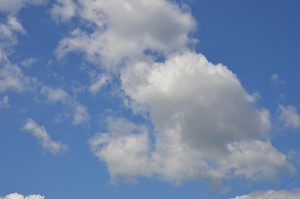 Проверка качества воздуха прошла в Краснопахорском районе. Фото: Анна Быкова, «Вечерняя Москва»