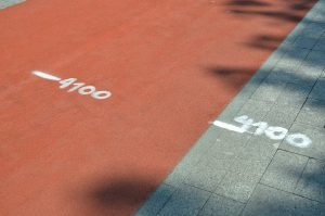 Осенний Забег «Золотая миля» пройдет в Краснопахорском районе. Фото: Анна Быкова, «Вечерняя Москва»