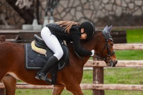 Турнир по конному спорту состоится в КСК «Пегас». Фото: официальная страница КСК «Пегас» в социальных сетях