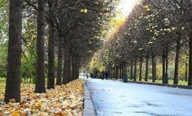 Заключительный месяц сезона в Центральной России будет теплее на 2-4 градуса. Фото: Мария Хапцова, «Вечерняя Москва»