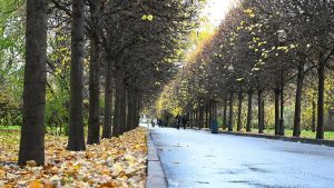 Заключительный месяц сезона в Центральной России будет теплее на 2-4 градуса. Фото: Мария Хапцова, «Вечерняя Москва»