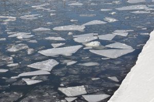 Аналогичное предупреждение объявлено для Московской области. Фото: Анна Быкова, «Вечерняя Москва»