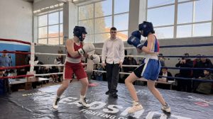 Турнир по кикбоксингу состоялся в Краснопахорском районе. Фото предоставил тренер Спортивного клуба «Заря» Кирилл Веденков