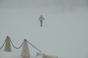 Соревнования по лыжам состоятся в Краснопахорском. Фото: Анна Быкова, «Вечерняя Москва»
