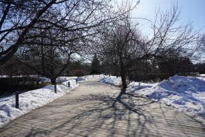 Первая с начала года оттепель наступила в столице. Фото: Анна Быкова, «Вечерняя Москва»