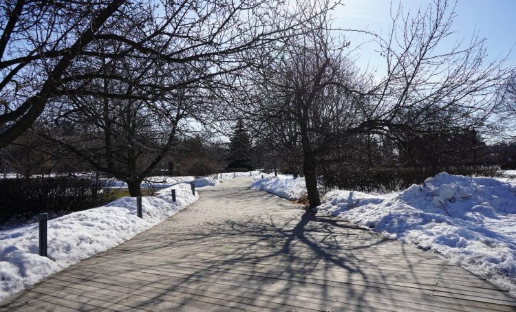 Первая с начала года оттепель наступила в столице. Фото: Анна Быкова, «Вечерняя Москва»